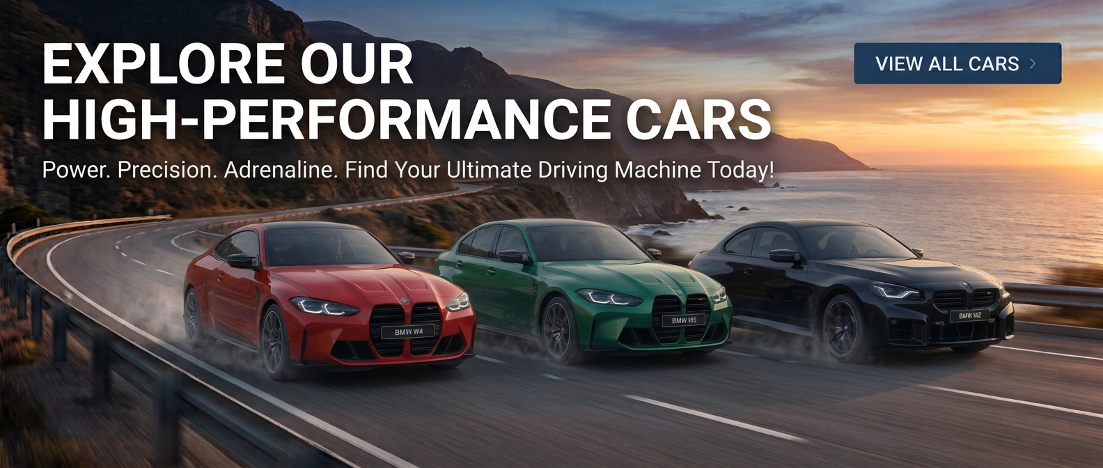 Explore our high-performance cars